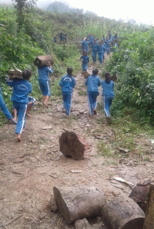 Helped in carrying fire wood