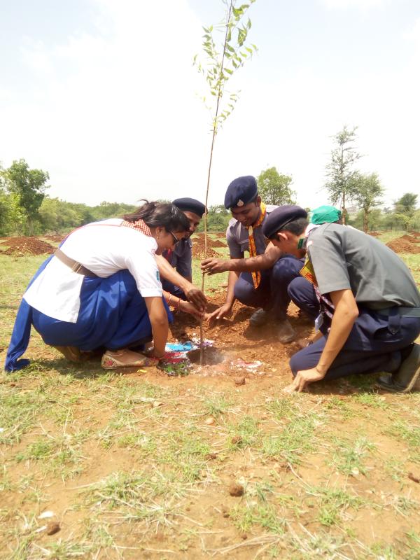 वन महोत्सव कार्यक्रम में सेवा कार्य 