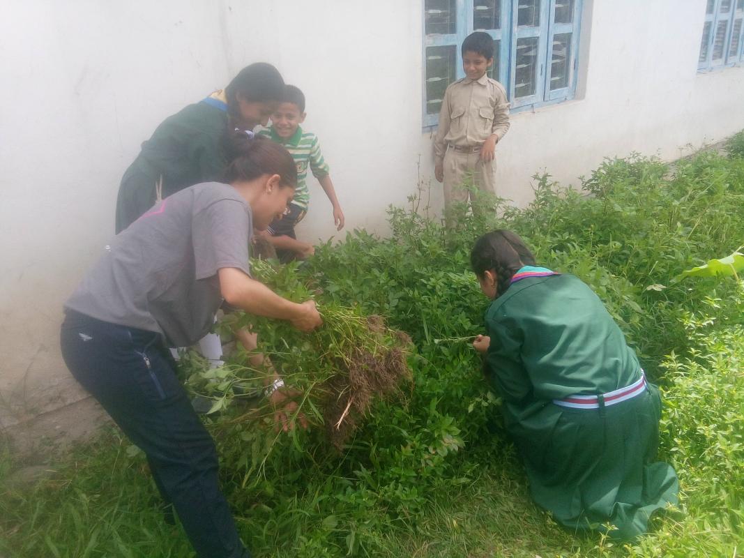 Sanitation and gardening