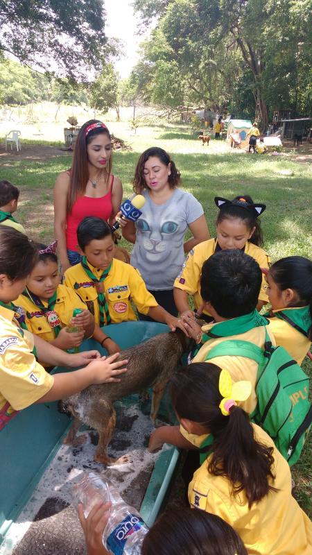 Échame una pata
