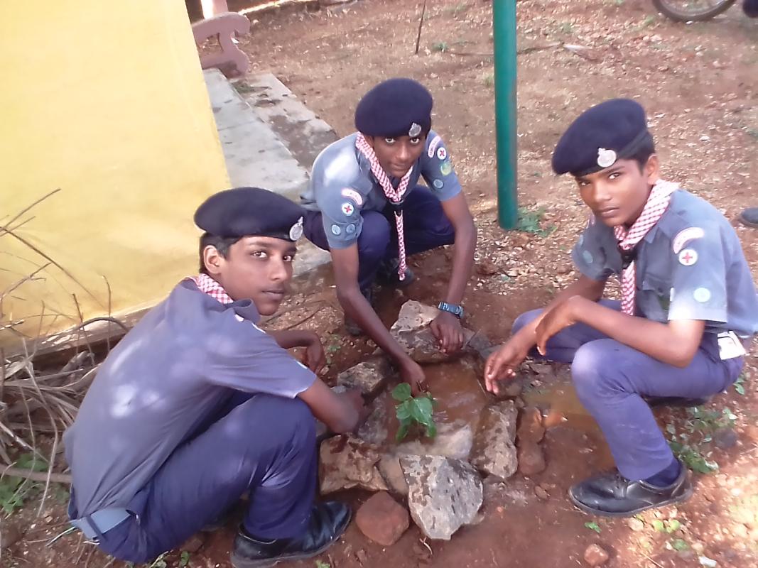 Tree planting activity