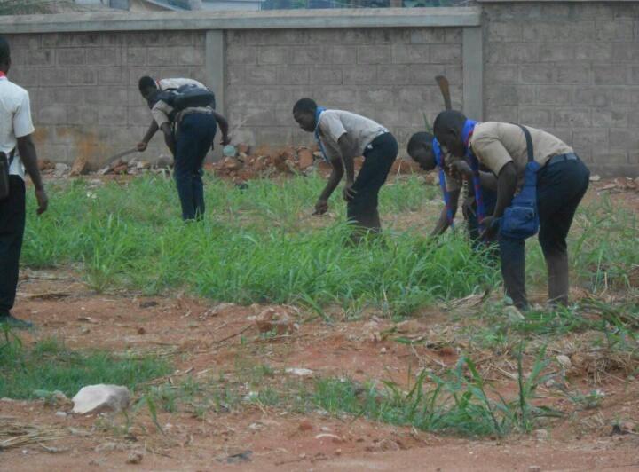 LES SCOUTS FACE A L'ODD 13