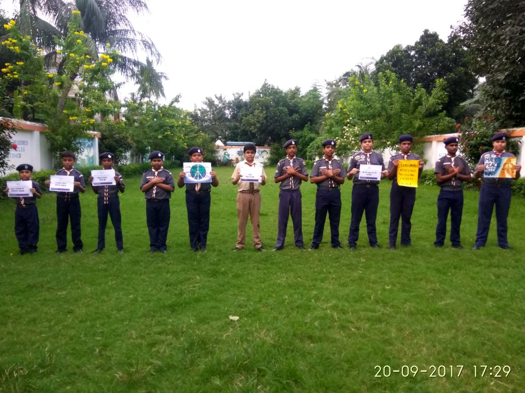 celebrating international peace day