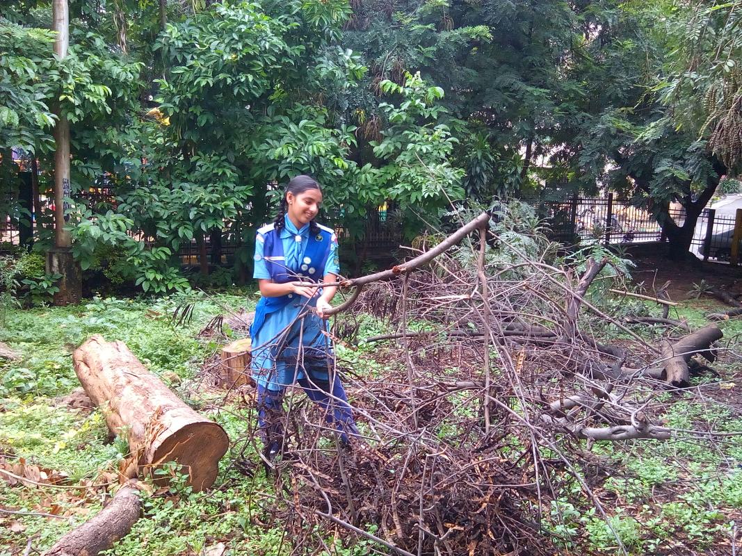 Environment sustainability