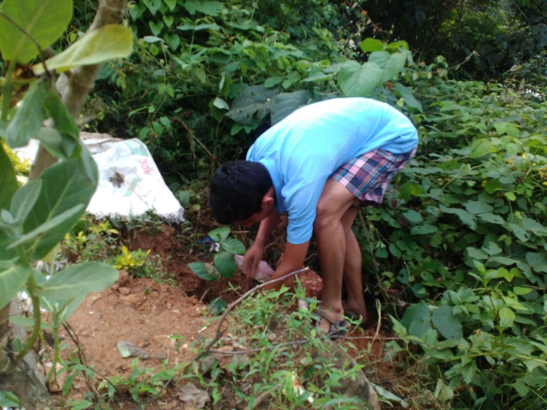 environmental sustaintainabilty