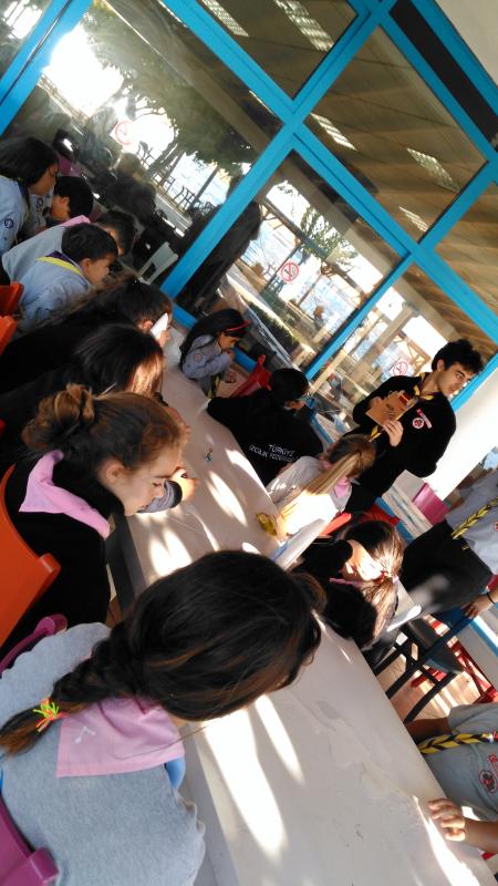 "FOXHOLE RADIO and WOBBLE BOTS" Challenge