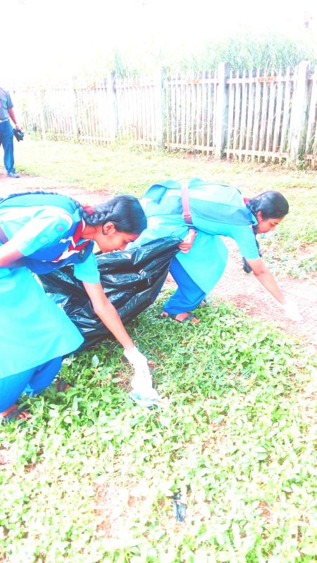 Ensure environmental sustainability