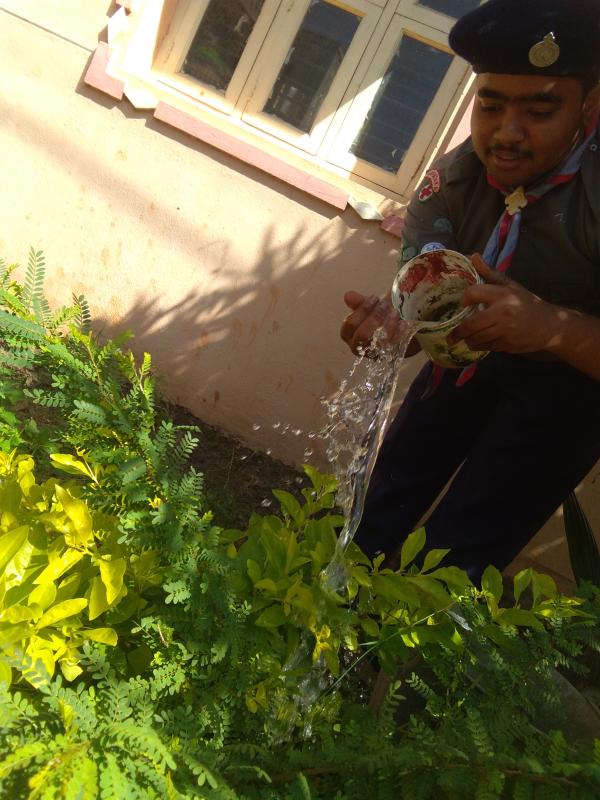 Environmental sustainability 