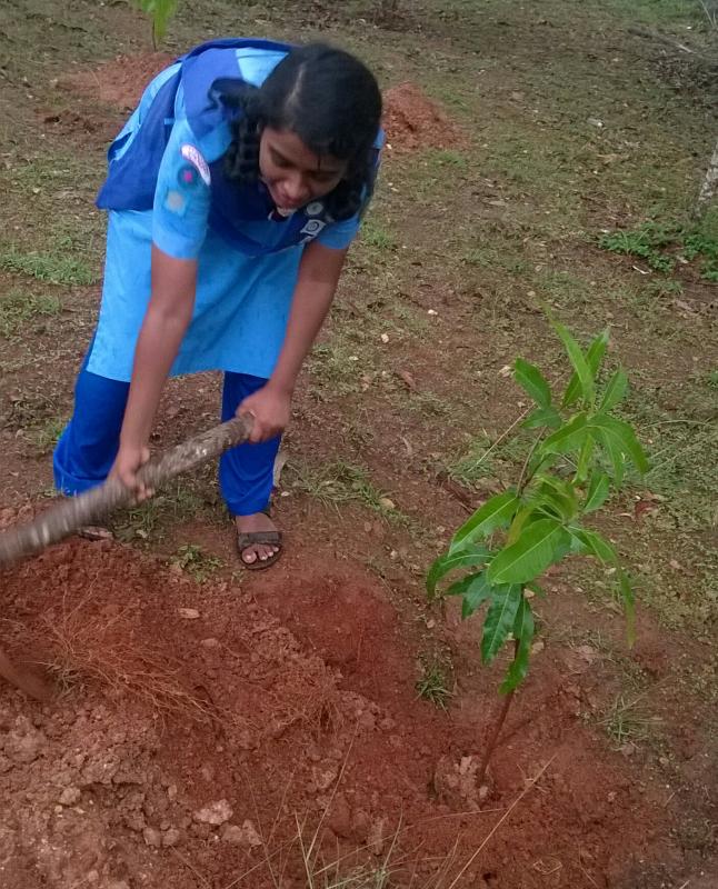 ensure environment sustainablity