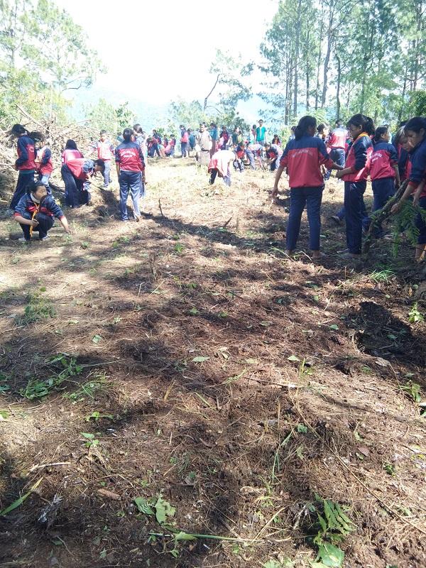 Success follows Hardwork: Regaining the lost treasure