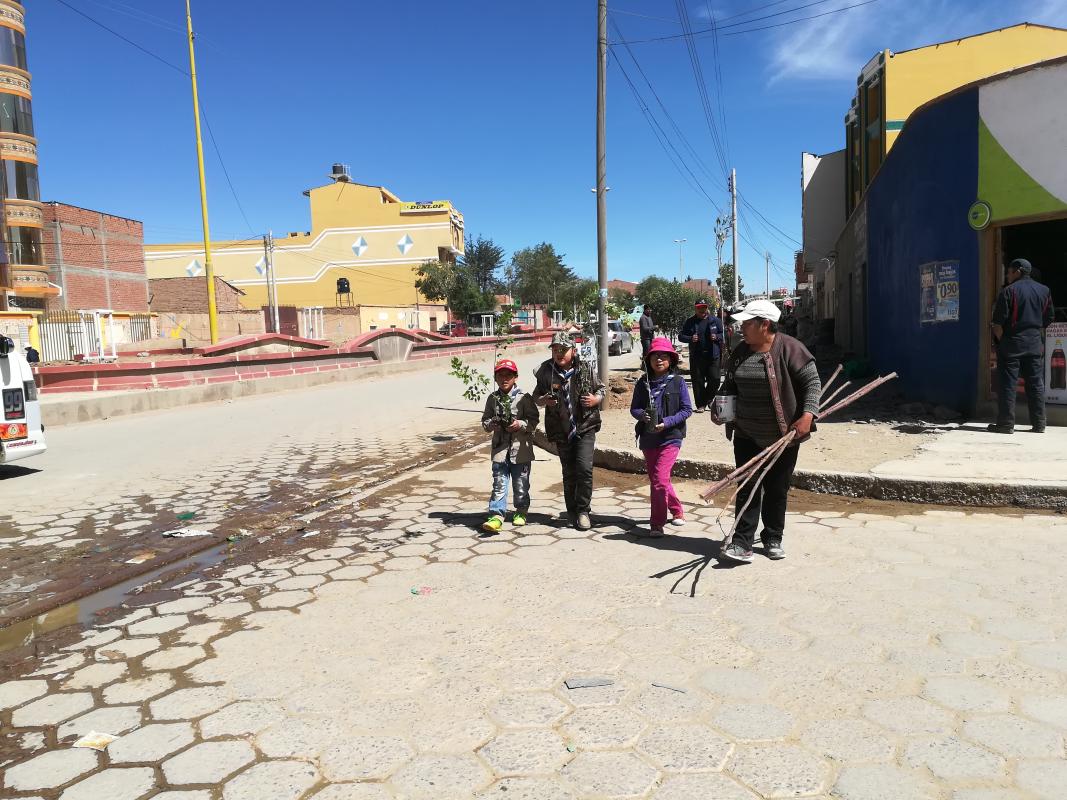 "PLANTEMOS CON BAGHEERA"