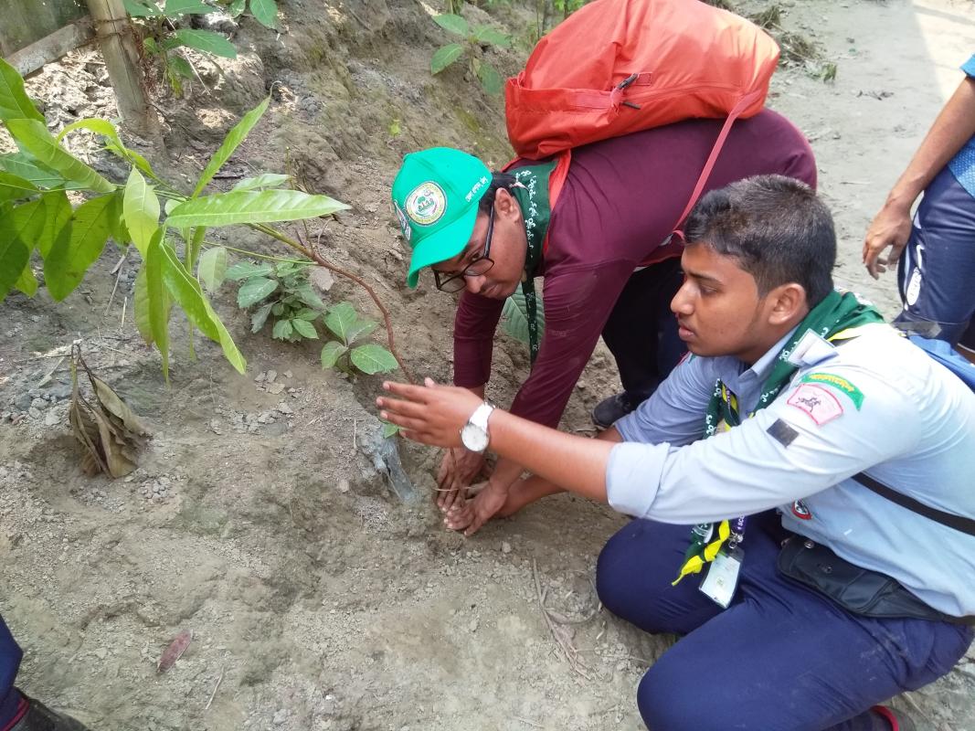 Tree Plantation Program, 6th National Comdeca 2018, Chandpur