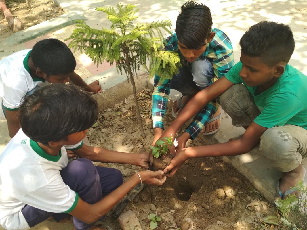 Ticket2life scouts celebrates environment day