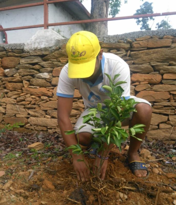 Plantation on World Environment Progranme 2018