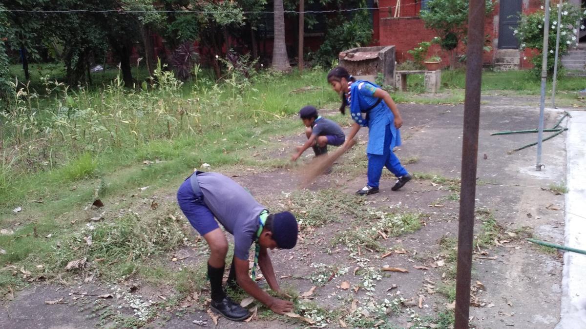 CLEANLINESS PROJECTS