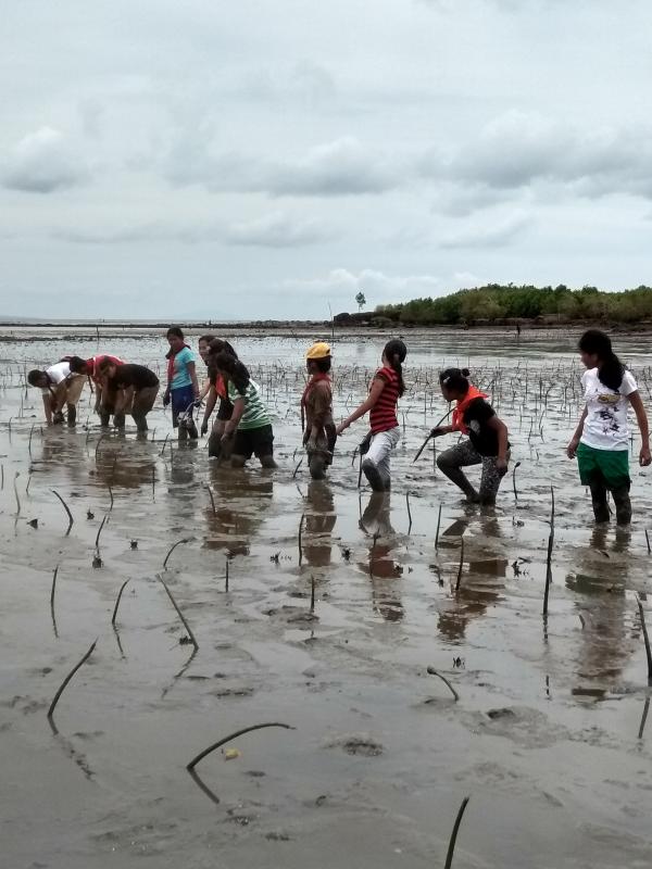 MANGROVE REFORESTATION PROJECT, COASTAL CLEAN UP AND OUTREACH PROGRAM