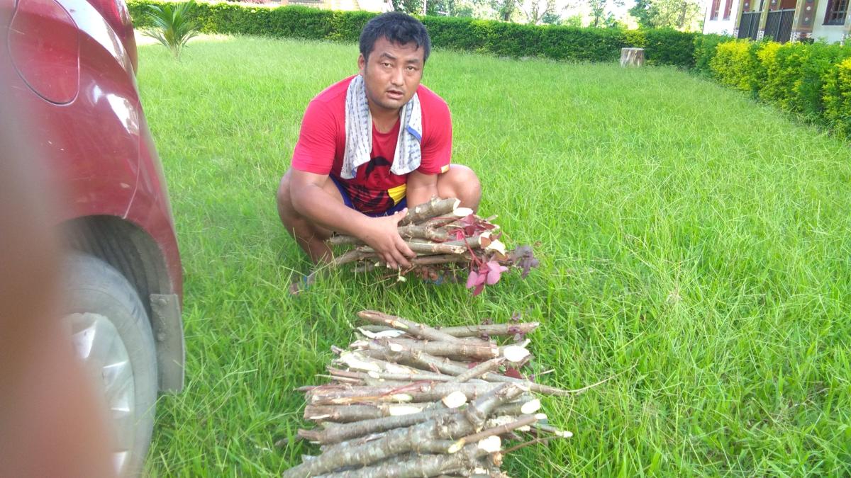 Dads Perfect Birthday Gift...