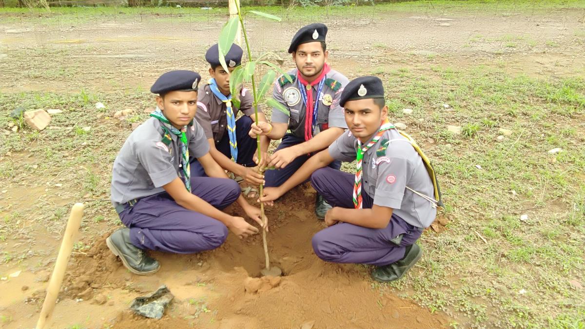 PLANTATION ACTIVITY