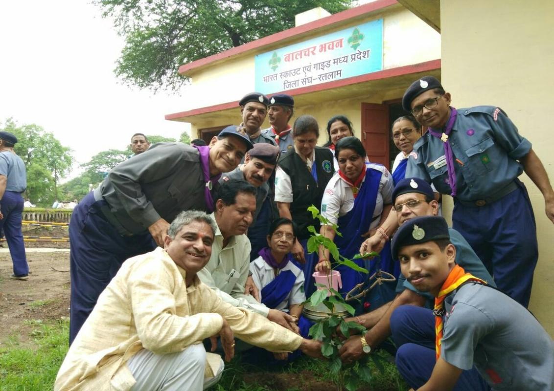 TREE PLANTATION