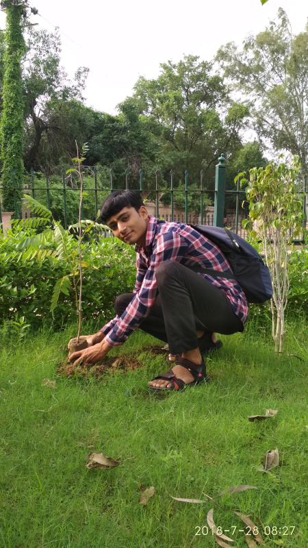 वृक्षारोपण कार्यक्रम