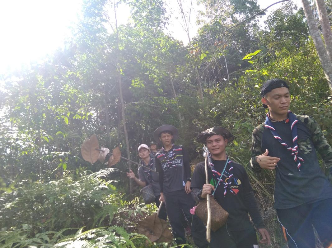 program sukarelawan penanaman pokok gaharu di Batang Ai sarawak

