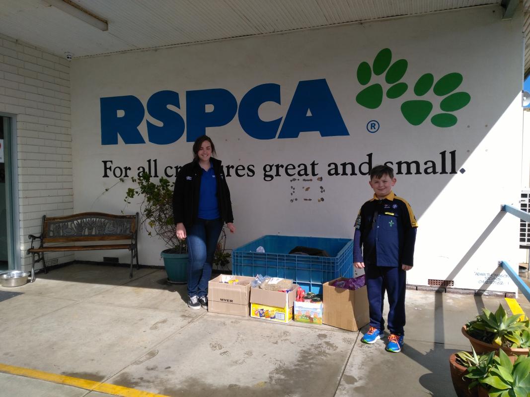Collecting Donations for RSPCA