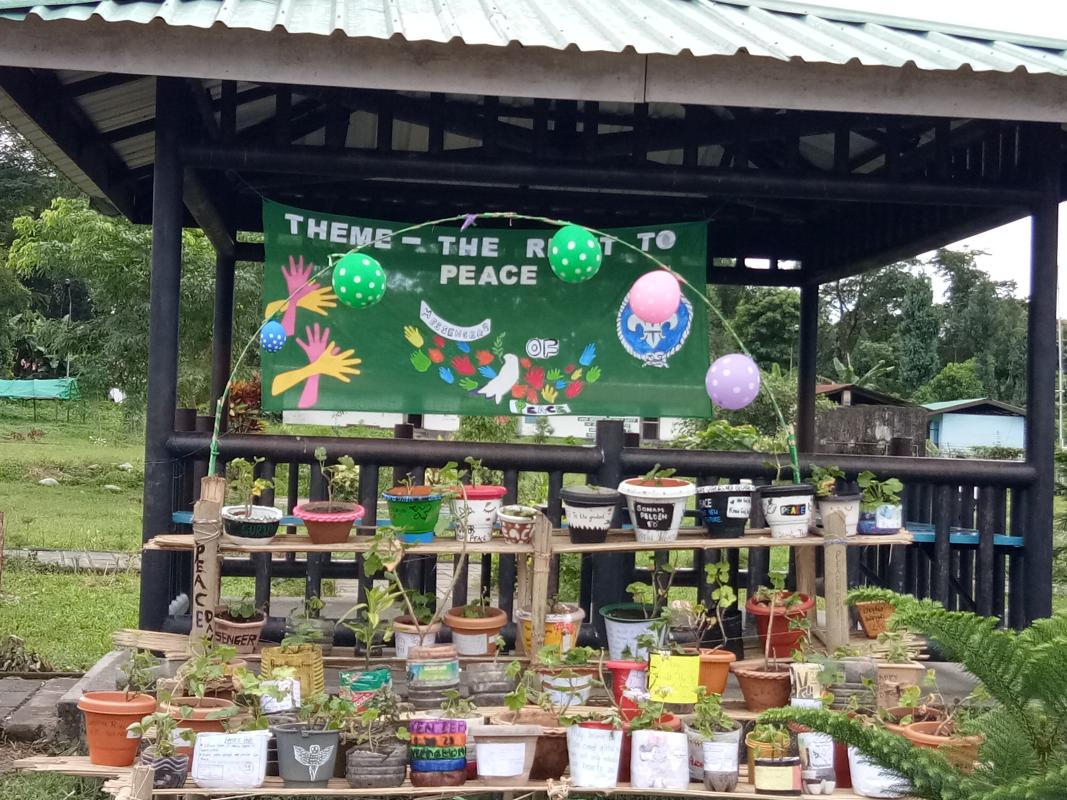 Awareness on peace