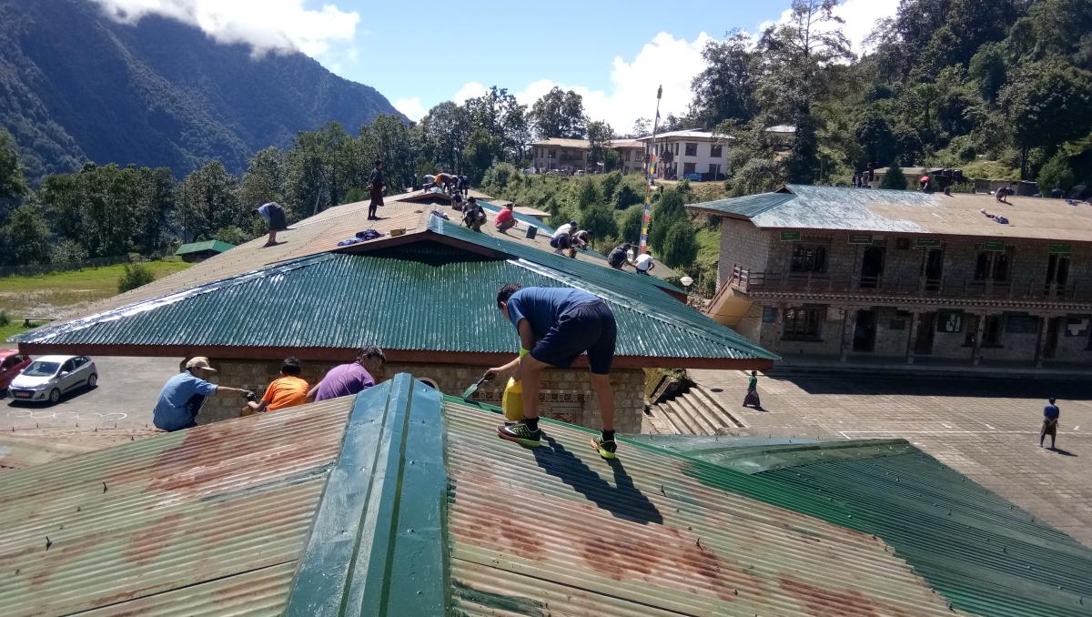 Greening the roofs in School campus