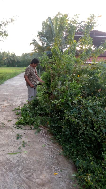 clening the road and service to farmer