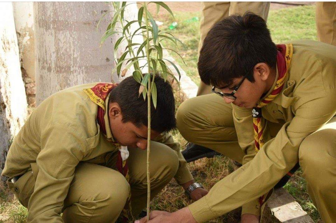 plantation activity