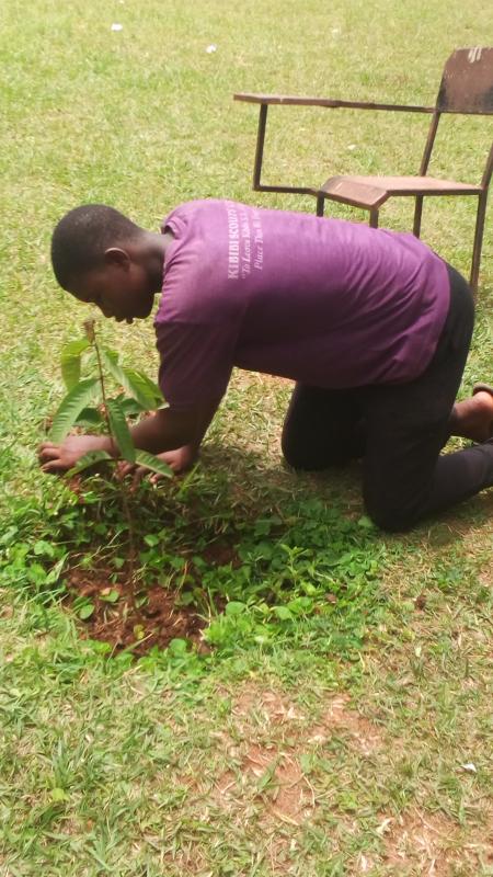 Tree Planting