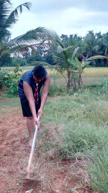 Navaratri cleaning program