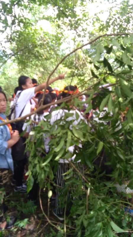 A day out for young scouts. 