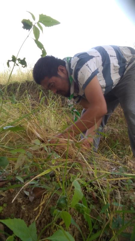 Boosting Community Yeilding