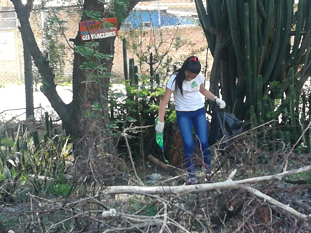 Consciencia Ambiental