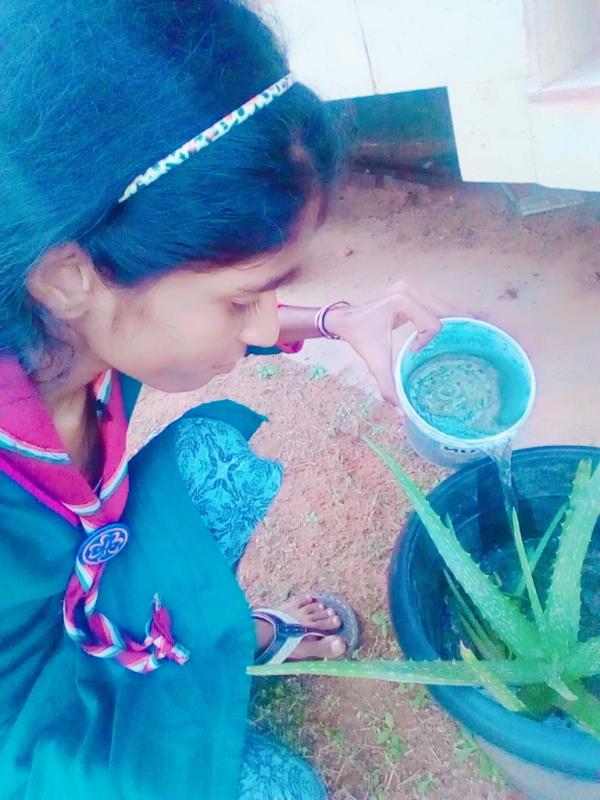 "Rovers 100 years 100 days service” from 23/09/2018 to 31/12/2018 BSG Udupi.Karnataka. INDIA.From 12th December 2018 to 21st December 2018. 