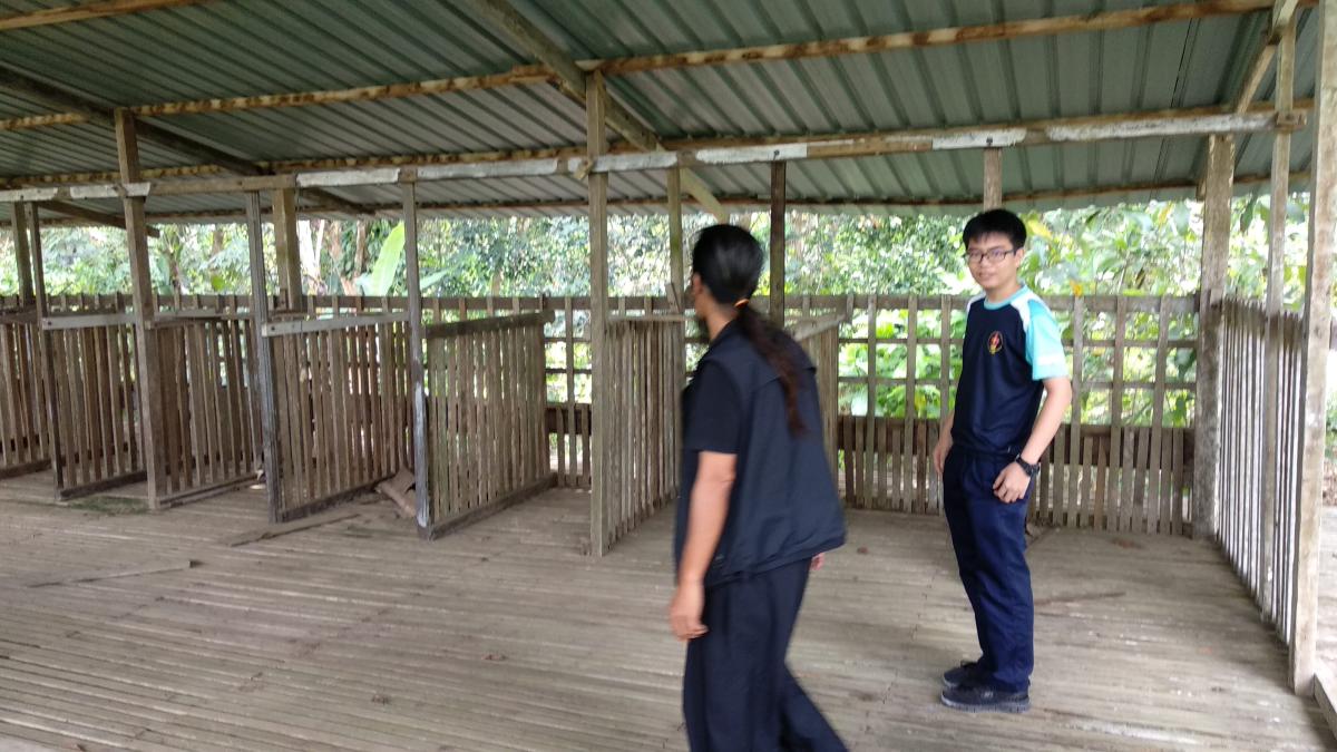 (Misa Island Goat Project: Update 3) Membersihkan Kawasan Tapak