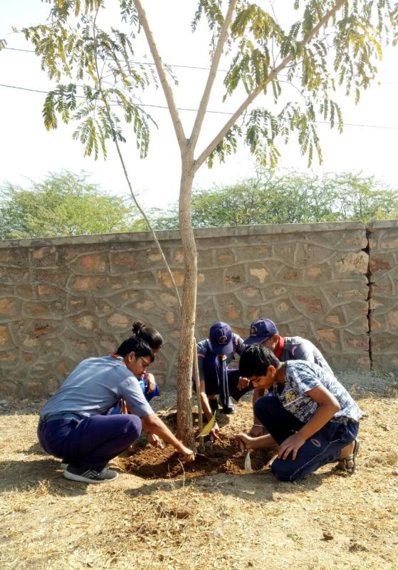 पर्यावरण संरक्षण 
