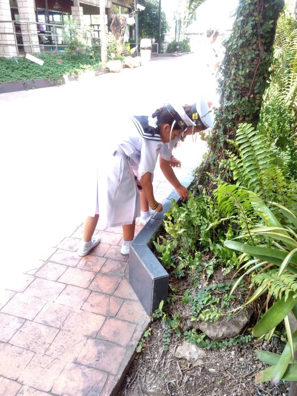 เก็บขยะภายในโรงเรียน