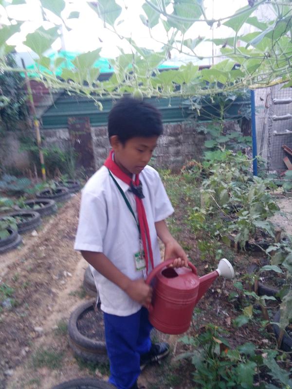 Marangal NHS Scout in Action