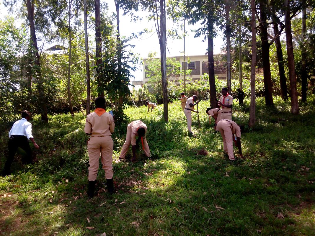 environment conservation