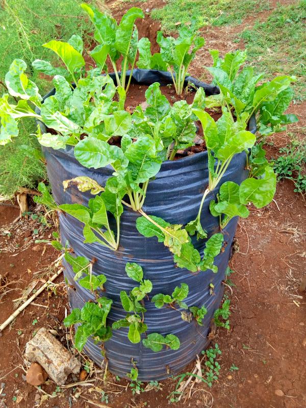 smart farming.