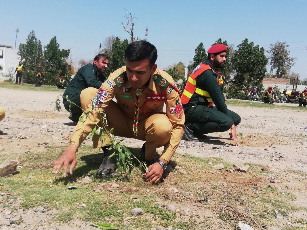TREE PLANTATION COMPAIGN 