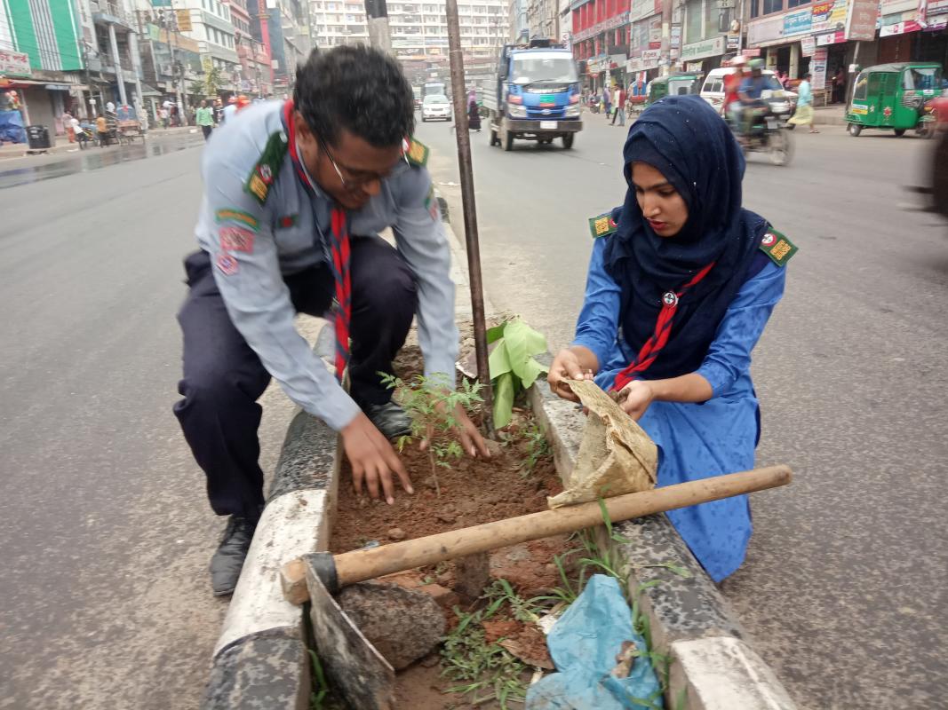 বৃক্ষরোপণ 