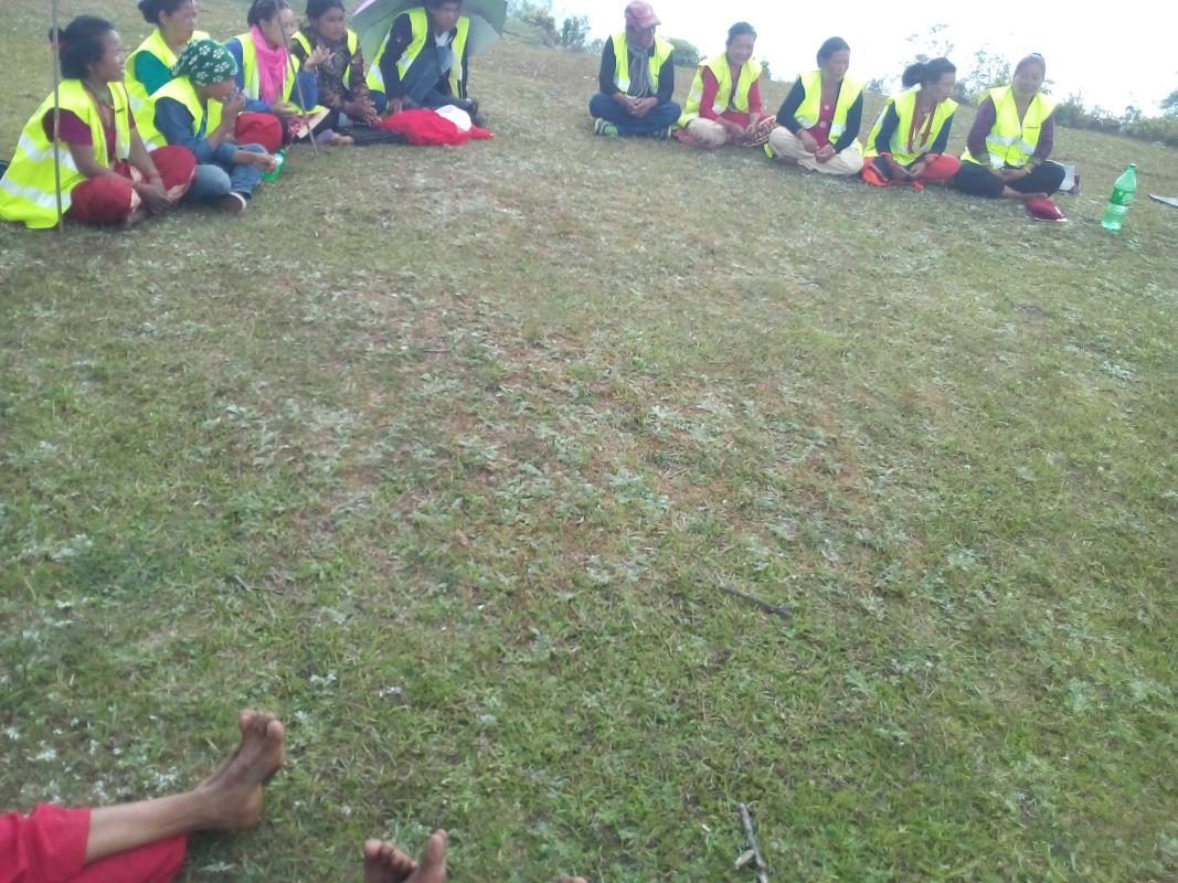 planitation
