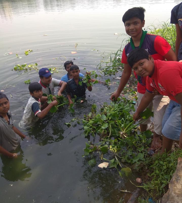 কচুরিপানা নিধন কর্মসূচি