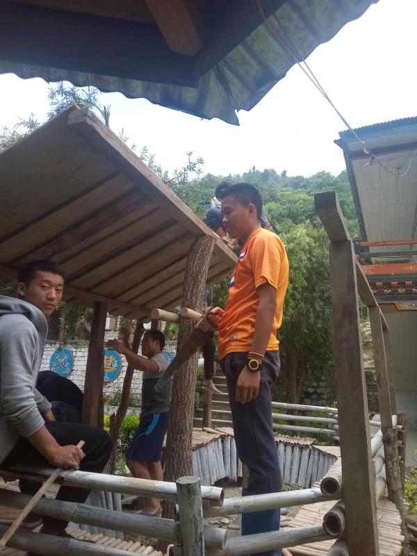 Maintenance of canopy 
