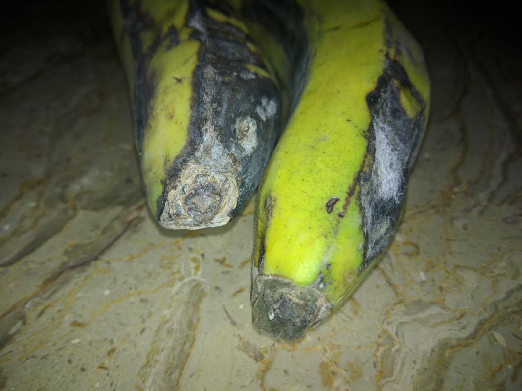 Buying "funny" fruits