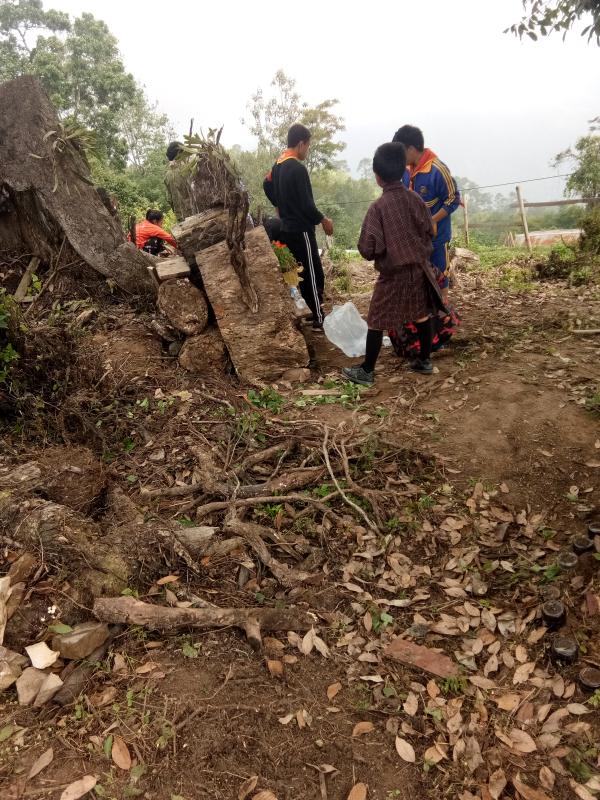 modifying the scout garden of Tsirangtoe Central School