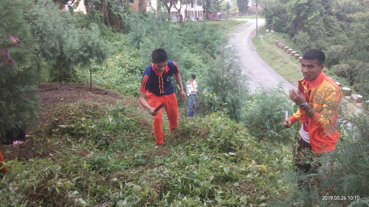 Clean environment for better growth of trees